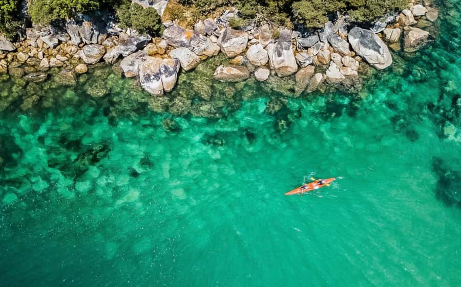 Nelson: Abel Tasman Kayaking & Great Taste Trail Bike Tour - Who should book this day?