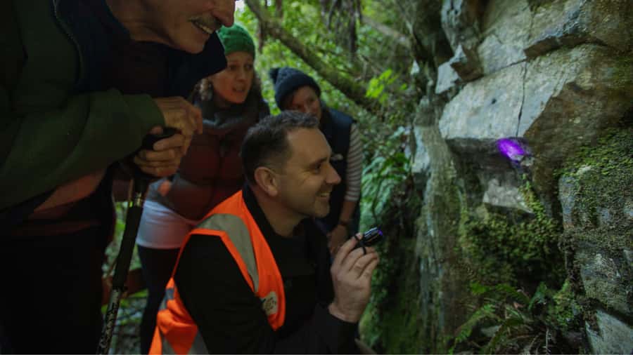Nelson: Brook Waimārama Sanctuary Guided Night Walk - Meeting your guide at the Visitor Centre