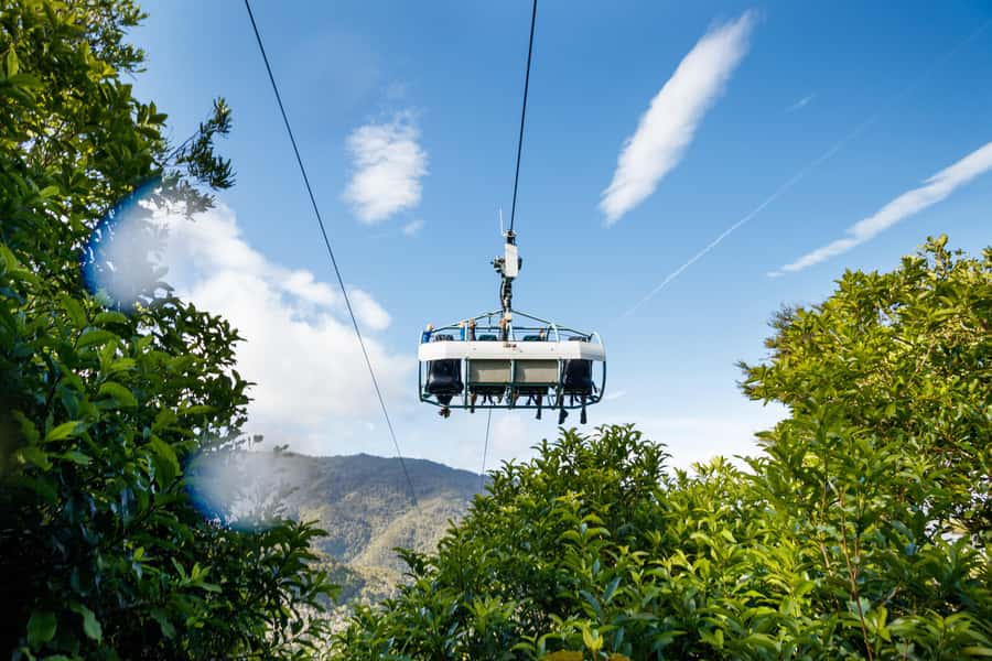 Nelson: Cable Bay Adventure Park Skywire Experience - Should you book the Cable Bay Skywire?