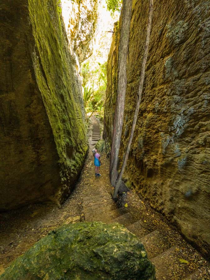 Nelson: Golden Bay in a Day Tour - Why Golden Bay Works as a Full-Day Trip from Nelson