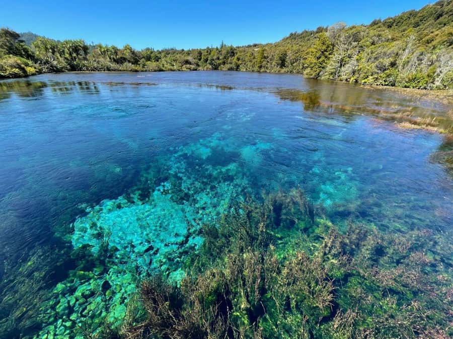 Nelson: Golden Bay in a Day Tour - Remembering Abel Tasman at the Memorial