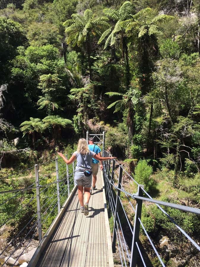 Nelson: Golden Bay in a Day Tour - Lunch in Takaka at a Local Café