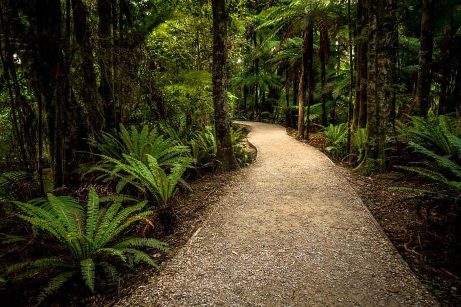 Nelson: Golden Bay in a Day Tour - Is the $256 Price Fair?