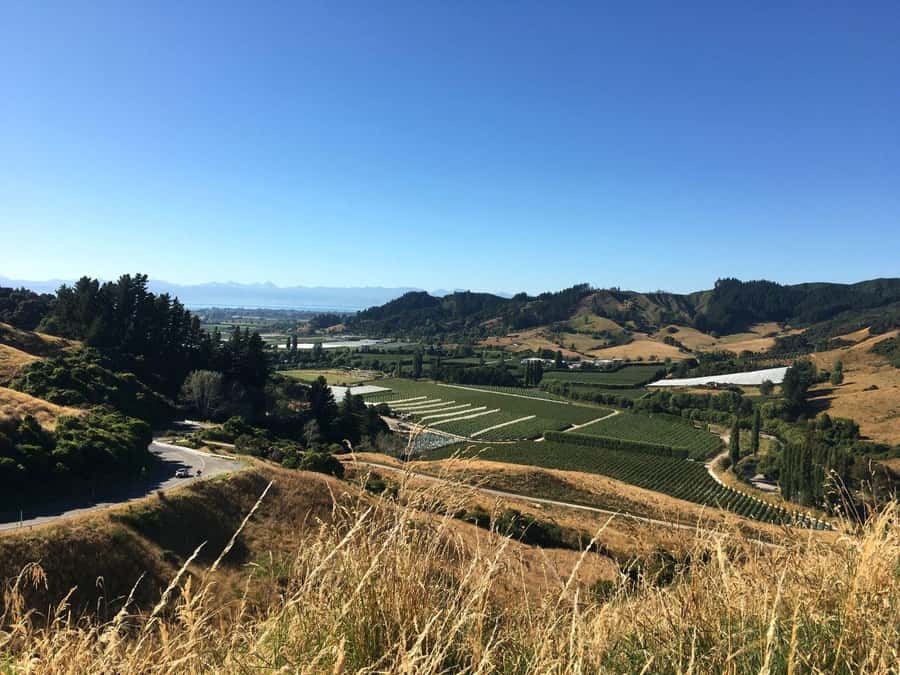 Nelson: Golden Bay in a Day Tour - What the Guides Add