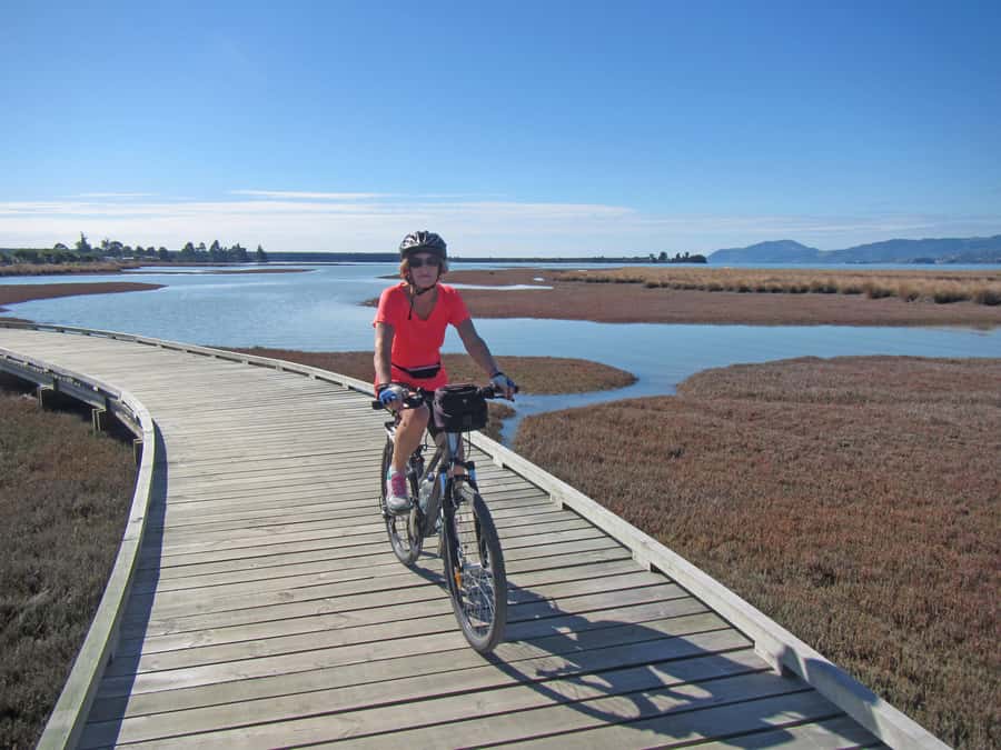 Nelson: Great Taste Trail Coastal Bike Ride to Mapua - Key points before you book