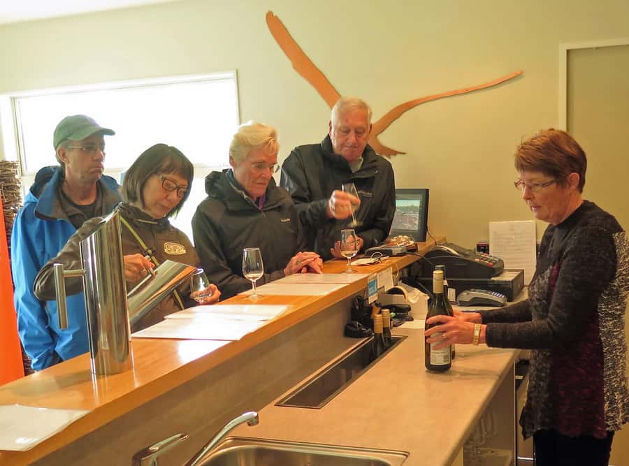 Nelson: Great Taste Trail Coastal Bike Ride to Mapua - Why this Great Taste Trail ride works so well