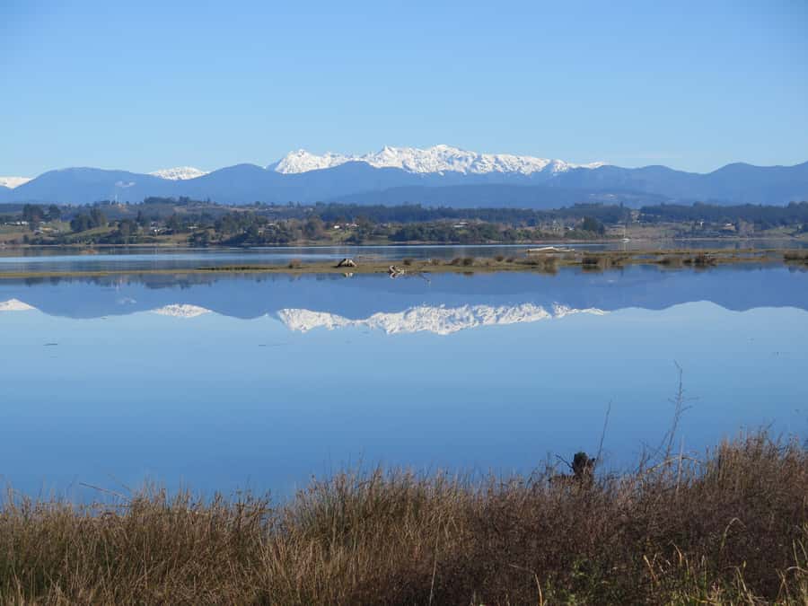 Nelson: Great Taste Trail Coastal Bike Ride to Mapua - Rabbit Island: the best place to slow down
