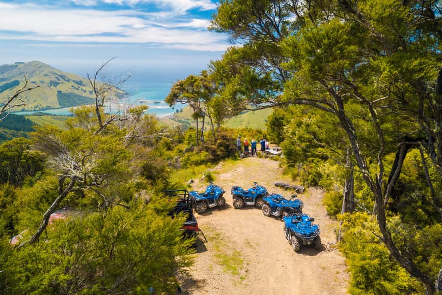 Nelson: Guided Quad Biking Tour Through Forest and Farmland - Riding from Cable Bay Adventure Park into the countryside