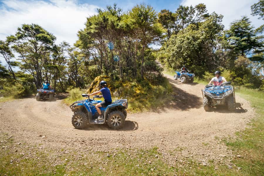 Nelson: Guided Quad Biking Tour Through Forest and Farmland - How the guide manages different riding abilities