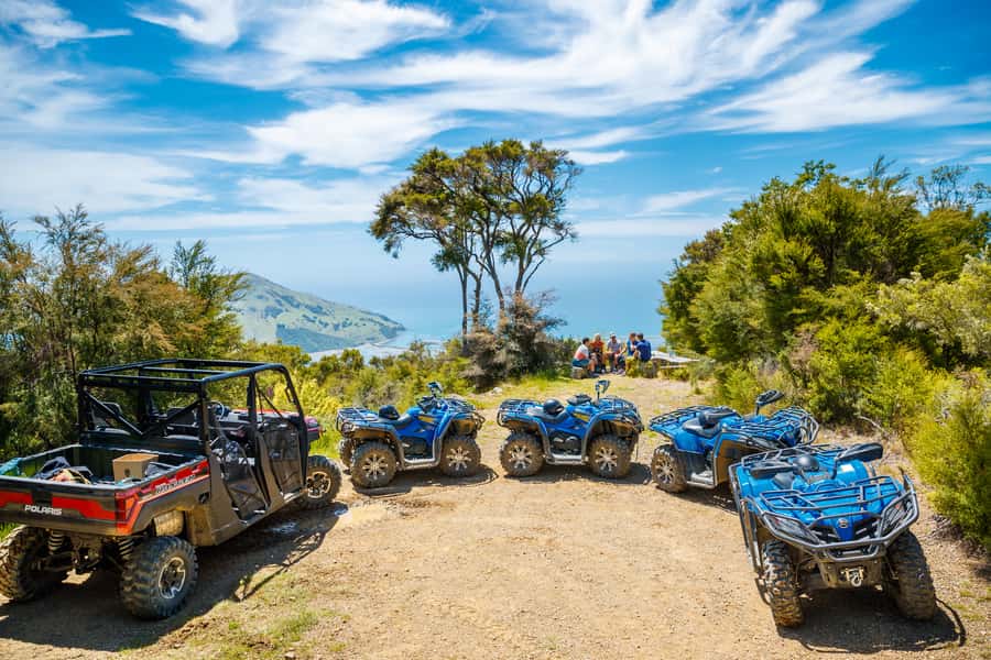 Nelson: Guided Quad Biking Tour Through Forest and Farmland - Is NZ$80 good value for a quad bike tour?