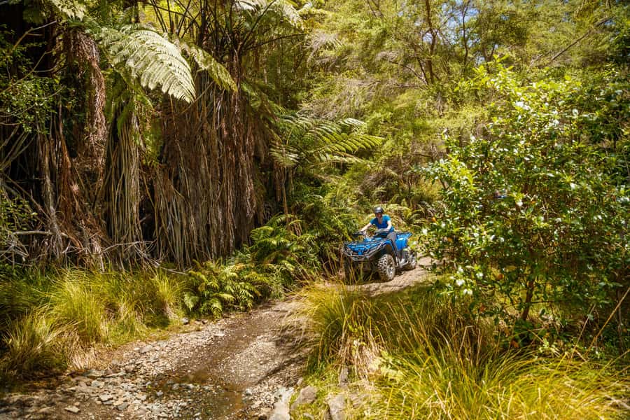 Nelson: Guided Quad Biking Tour Through Forest and Farmland - What to bring and how to prepare