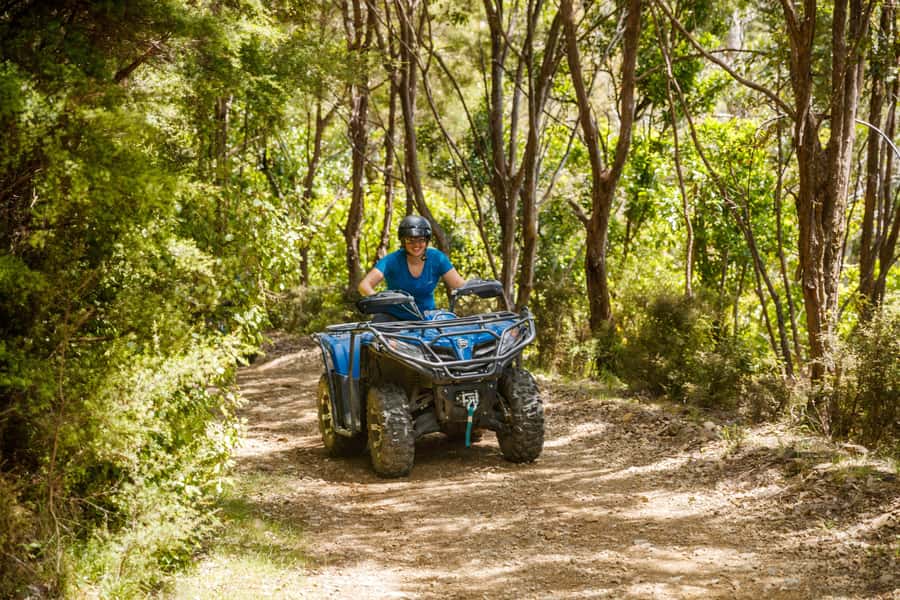 Nelson: Guided Quad Biking Tour Through Forest and Farmland - Who will enjoy this Cable Bay experience most?