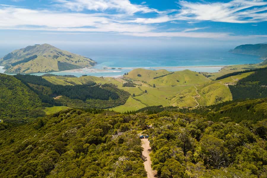 Nelson: Guided Quad Biking Tour Through Forest and Farmland - Choosing between the 1.5-hour ride and the 2.5-hour circuit