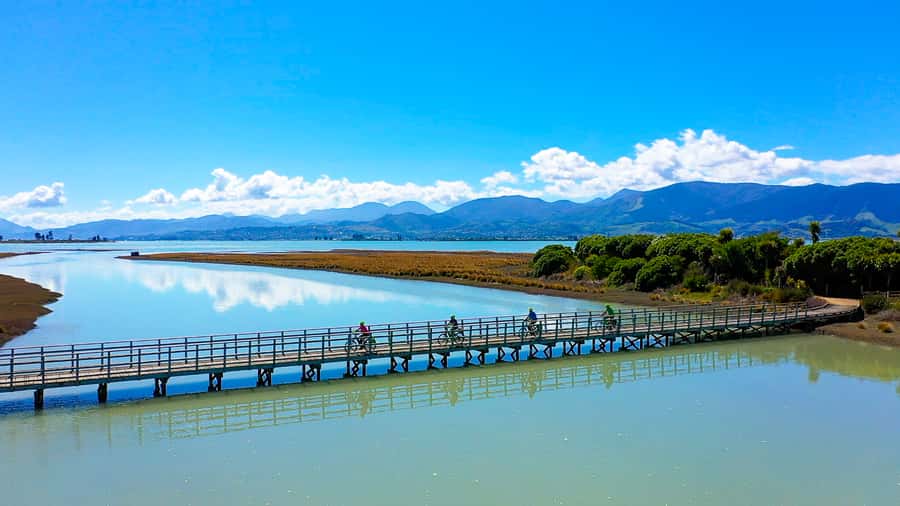 Nelson to Mapua: Full-Day Cycling Self-Guided Adventure - From Nelson streets to the Great Taste Trail