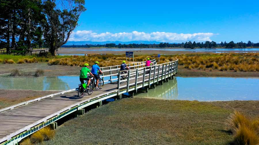 Nelson to Mapua: Full-Day Cycling Self-Guided Adventure - Waimea Estuary and the coastal boardwalks