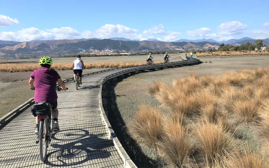 Nelson to Mapua: Full-Day Cycling Self-Guided Adventure - The Mapua Ferry and arrival at the wharf