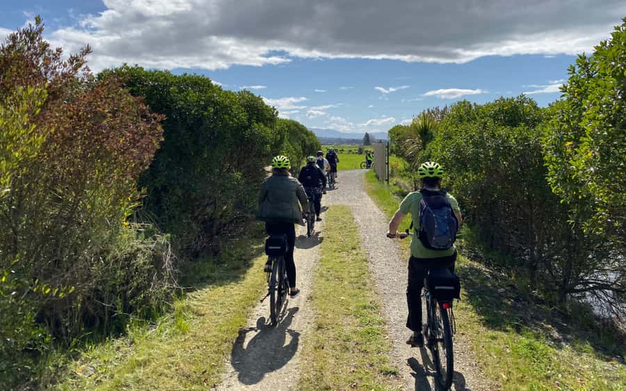 Nelson to Mapua: Full-Day Cycling Self-Guided Adventure - How hard is the ride?