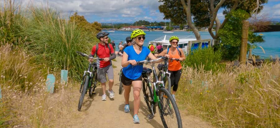 Nelson to Mapua: Full-Day Cycling Self-Guided Adventure - The return to Nelson by Kiwi Journeys shuttle