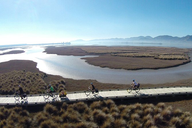 Nelson to Mapua: Full-Day Self-Guided Cycling Adventure - Key points before you book