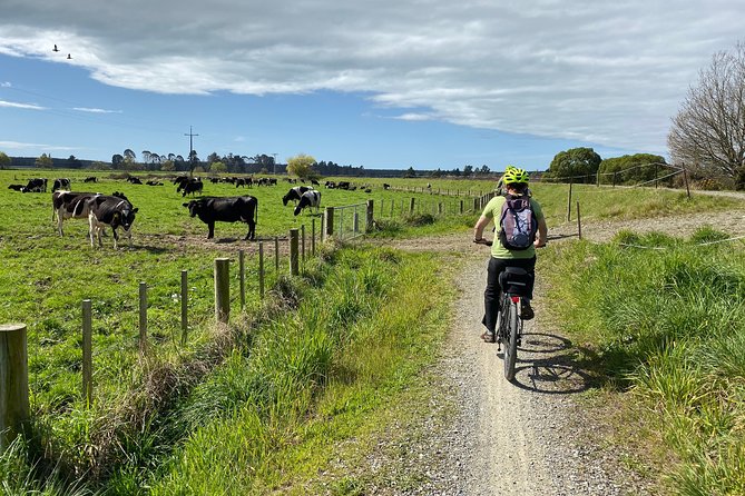 Nelson to Mapua: Full-Day Self-Guided Cycling Adventure - Eddyline marks the turn toward the coast