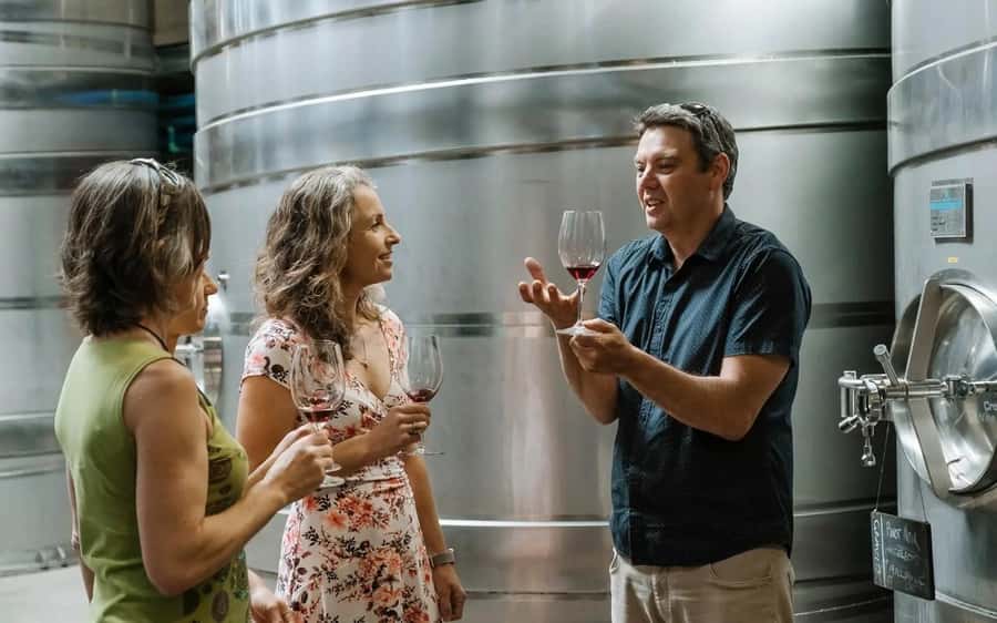 Nelson: Wine Tour with Tastings and Lunch - Why Nelson’s wine country suits a full-day tour