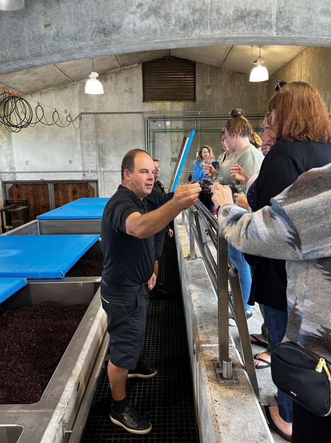 Nelson: Wine Tour with Tastings and Lunch - My verdict: a strong choice for a varied Nelson wine day