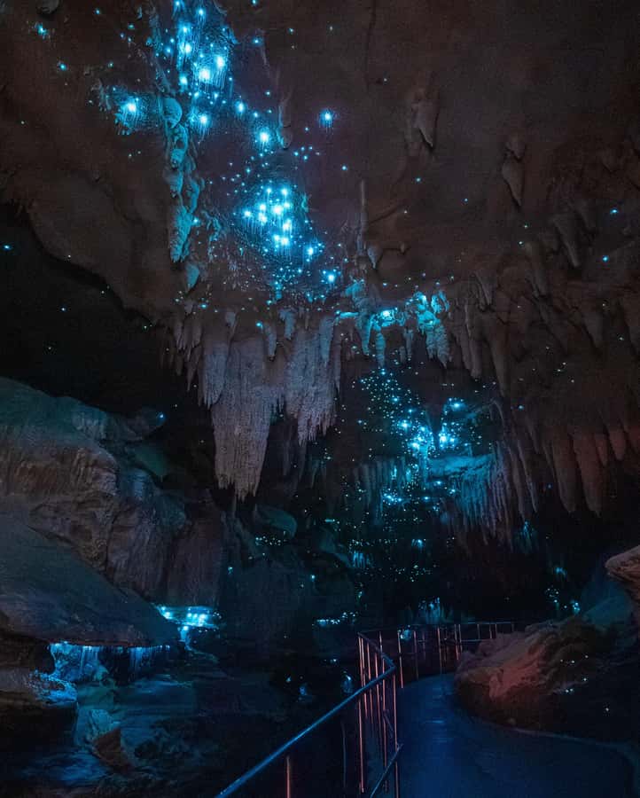 New Zealand: Milky Way Glowworm Cave Tour - What happens inside the cave