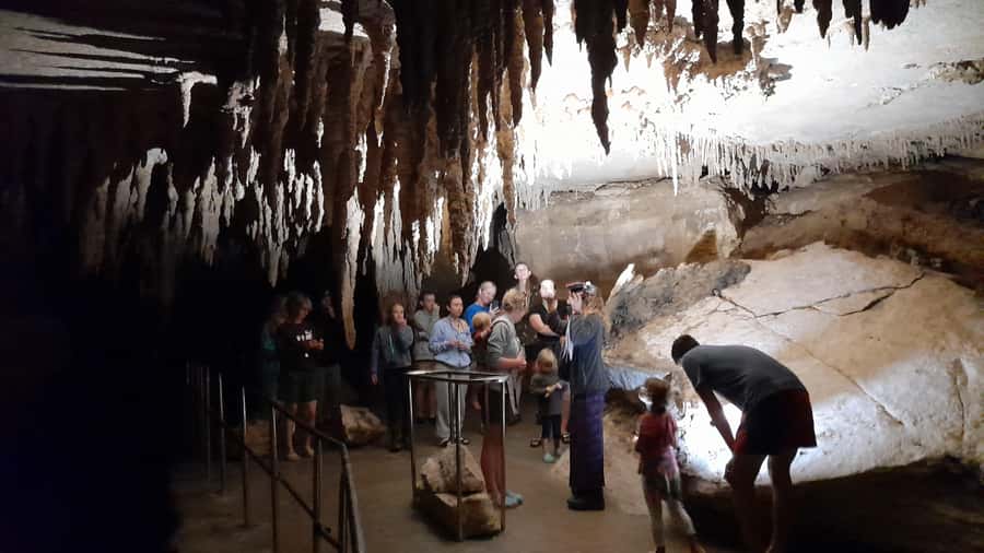 New Zealand: Milky Way Glowworm Cave Tour - The guide makes the short visit count