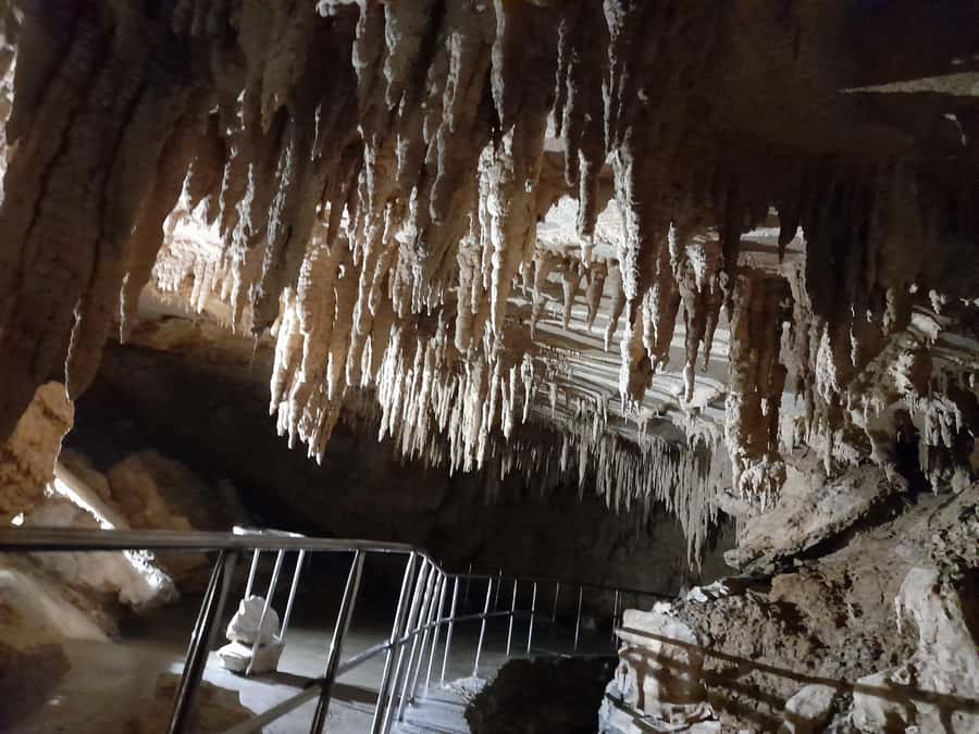 New Zealand: Milky Way Glowworm Cave Tour - Who will enjoy this cave most