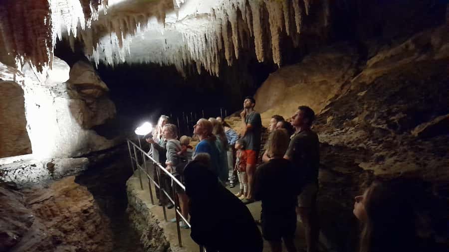 New Zealand: Milky Way Glowworm Cave Tour - Walking through limestone and native bush