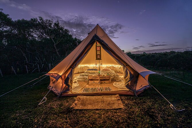 Nocturnal Wonders Tawharanui Kiwi Spotting and Stargazing Tour - Why night changes Tawharanui Regional Park