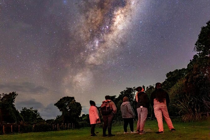 Nocturnal Wonders Tawharanui Kiwi Spotting and Stargazing Tour - The optional glamping add-on