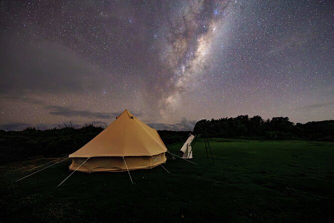 Nocturnal Wonders Tawharanui Kiwi Spotting and Stargazing Tour - Who should book this night walk