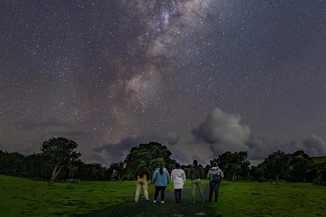 Nocturnal Wonders Tawharanui Kiwi Spotting and Stargazing Tour - The stargazing stop inside the park