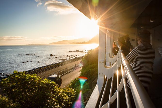 Northern Explorer Train Journey from Auckland to Wellington - Food, coffee, and the open-air carriage
