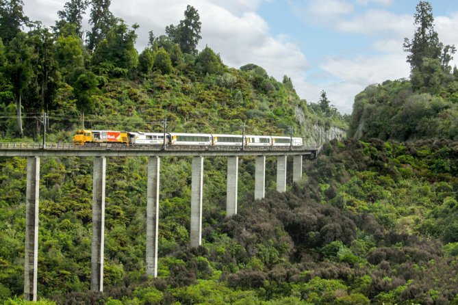 Northern Explorer Train Journey from Wellington to Auckland - Key details before you book