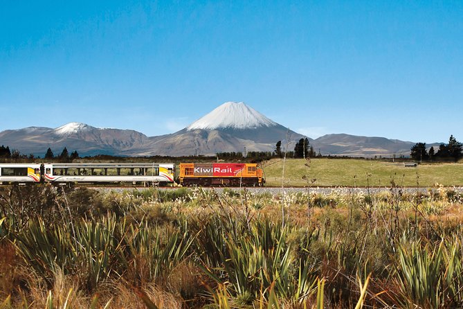 Northern Explorer Train Journey from Wellington to Auckland - Rolling farmland and the Waikato countryside
