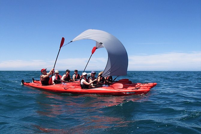 Oarsome Marine Reserve Kayak Tour - Tonga Island Marine Reserve and the fur seal colony