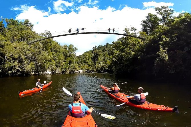 Oarsome Marine Reserve Kayak Tour - Guides, pace, and the feel of the day