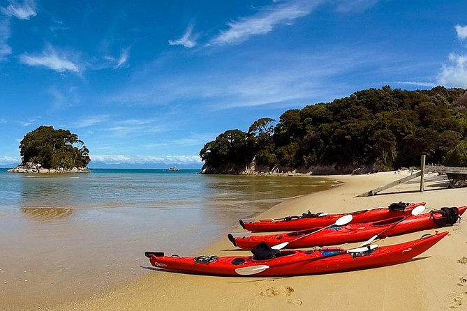 Oarsome Marine Reserve Kayak Tour - Is $198.58 a fair price?