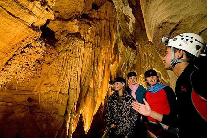 Odyssey Sensory Maze Entry Auckland Ticket - Practical details that affect your visit