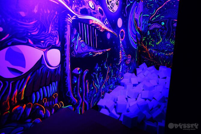 Odyssey Sensory Maze Entry Auckland Ticket - The best and weakest parts