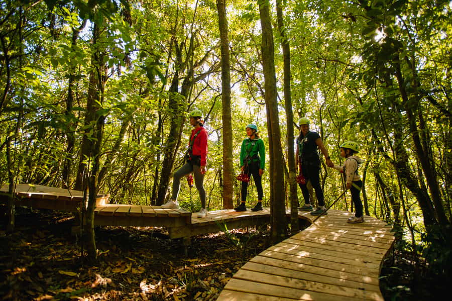 Okere Falls: Zipline over Waterfalls Experience - Is $80 a fair price?