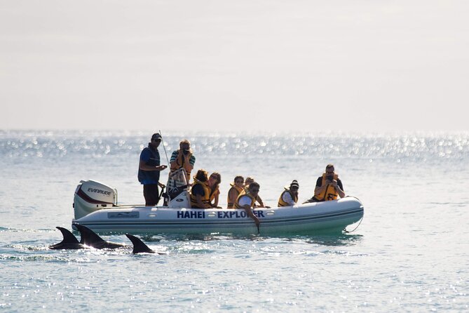 One Hour Cathedral Cove Boat Tour in Hahei - Key points before you book