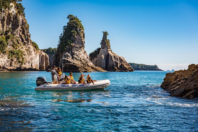 One Hour Cathedral Cove Boat Tour in Hahei - What the one-hour length really means
