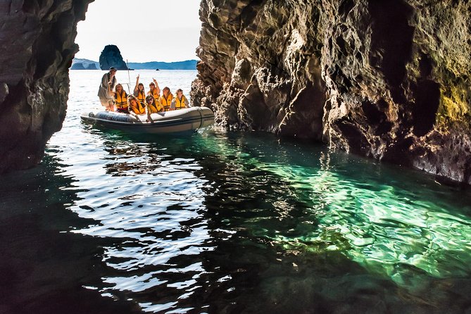 One Hour Cathedral Cove Boat Tour in Hahei - The ride itself: lively, safe, and weather dependent
