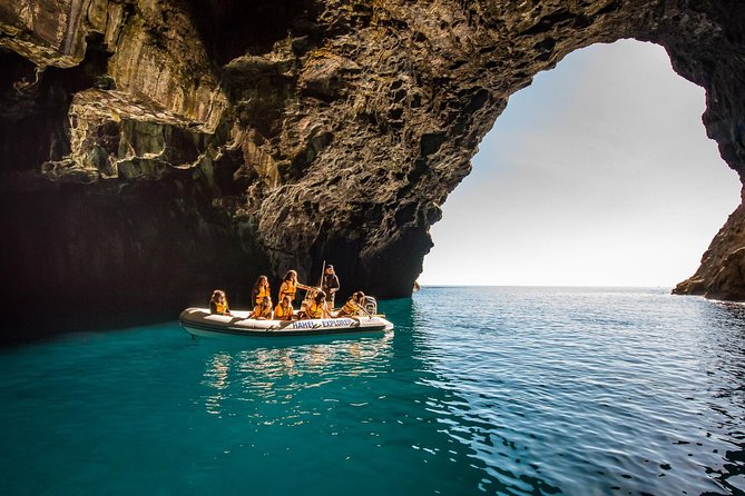 One Hour Cathedral Cove Boat Tour in Hahei - Who will enjoy this boat tour most