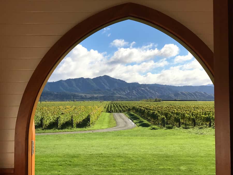Onshore Highlights of Marlborough's Wine Region from Picton - How personal is the small-group format?