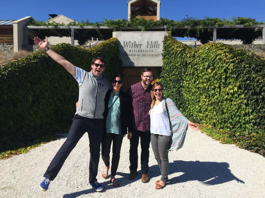 Onshore Highlights of Marlborough's Wine Region from Picton - Timing, comfort, and cruise-day planning
