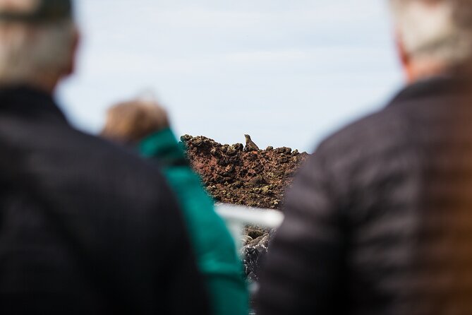 Otago Harbour Wildlife Cruise (Dunedin Shore Excursion) - Is the $86.88 price good value?